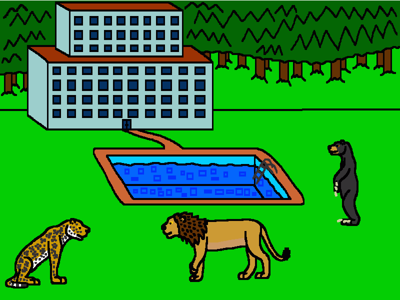 el león africano, el jaguar y el oso negro americano en un hotel, la alberca y el bosque conífera para colorear