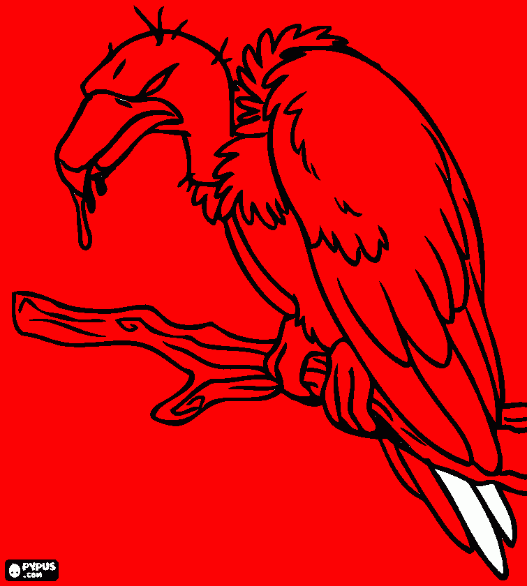 el marabu para colorear