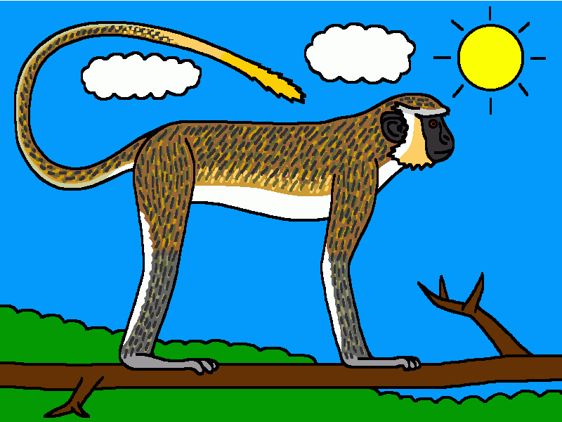 el mono verde sobre la rama para colorear