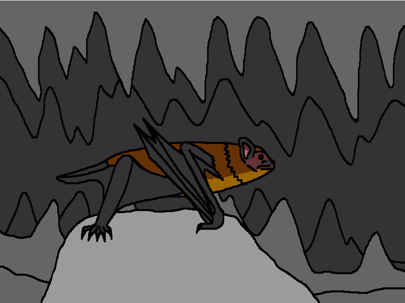 el murciélago común para colorear