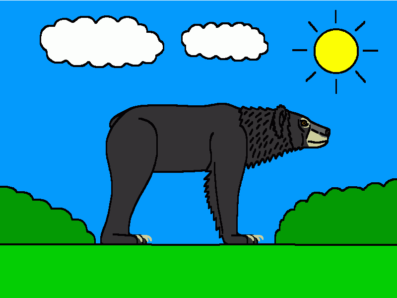 el oso bezudo para colorear