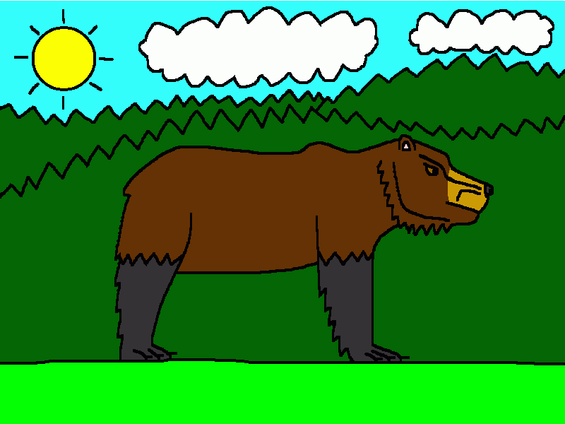 el oso grizzly para colorear