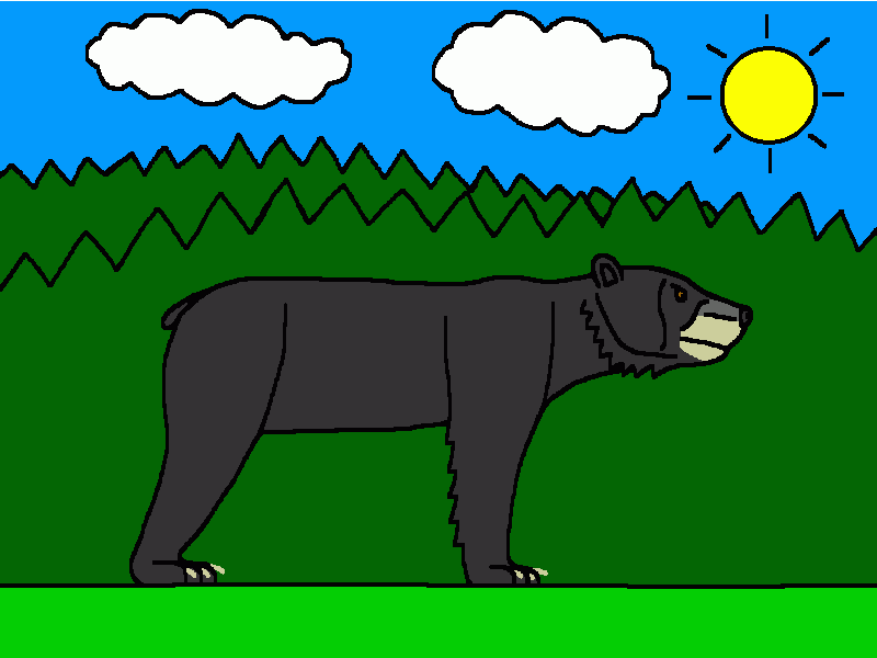 el oso negro americano para colorear