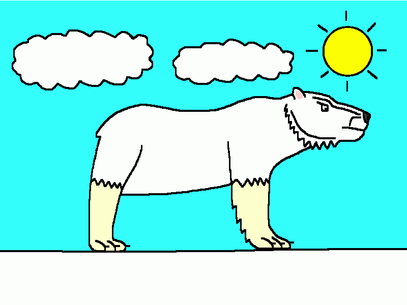 el oso polar para colorear