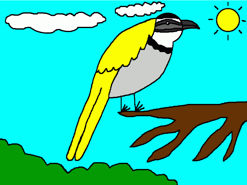el pajaro saltador cabecinegro para colorear
