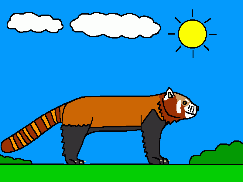 el panda rojo para colorear