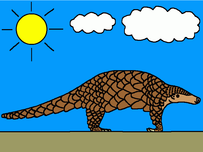 el pangolín indio para colorear