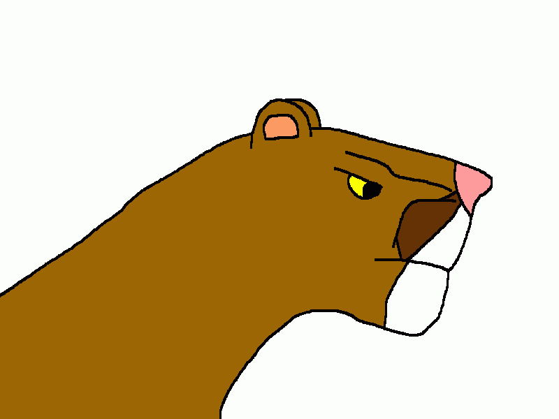 No autorizado imagen lento el puma, dibujo para colorear, el puma, dibujo para imprimir