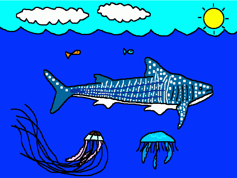 el tiburón ballena, dos medusas y dos peces para colorear