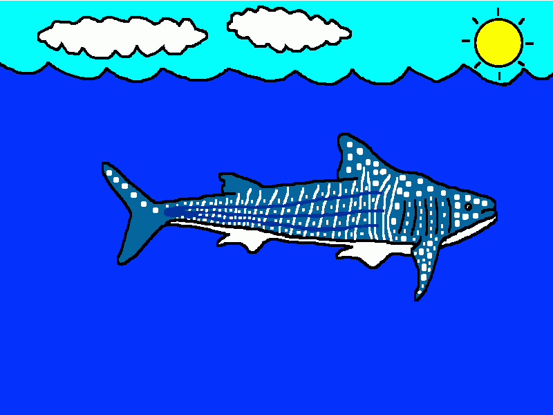 el tiburón ballena para colorear