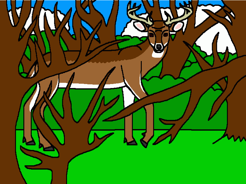 el venado cola blanca detrás de las ramas para colorear