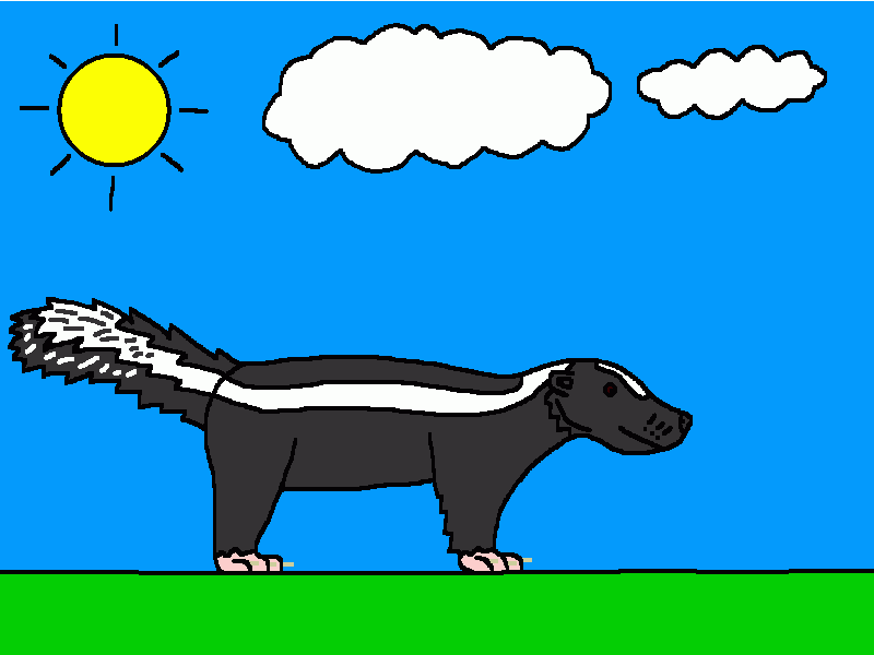 el zorrillo para colorear