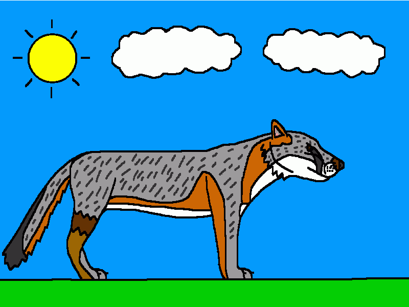 el zorro gris para colorear