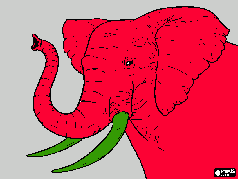 Elefante rosa para colorear