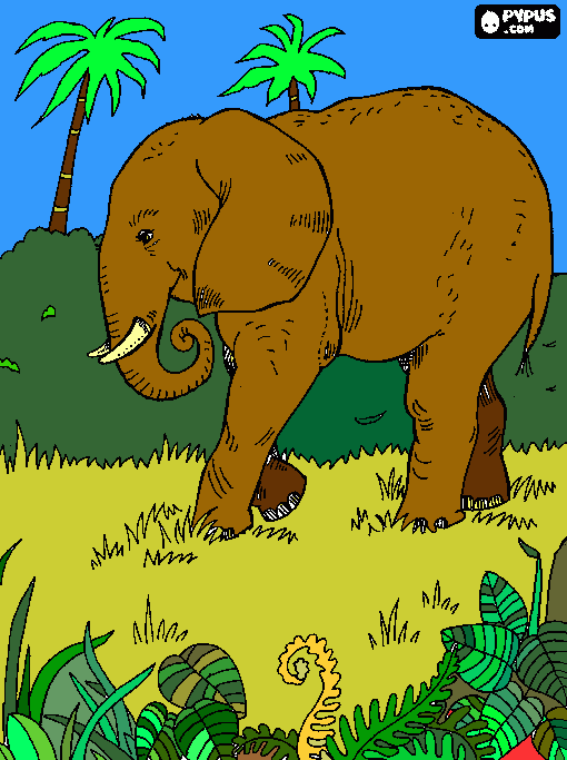 elefante selva para colorear