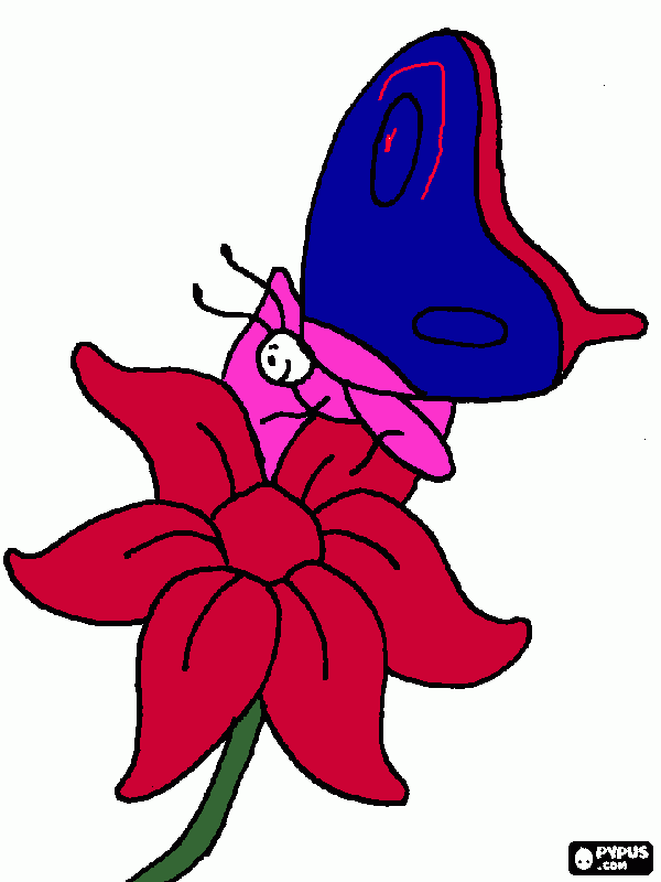 en la flor posa una mariposa para colorear