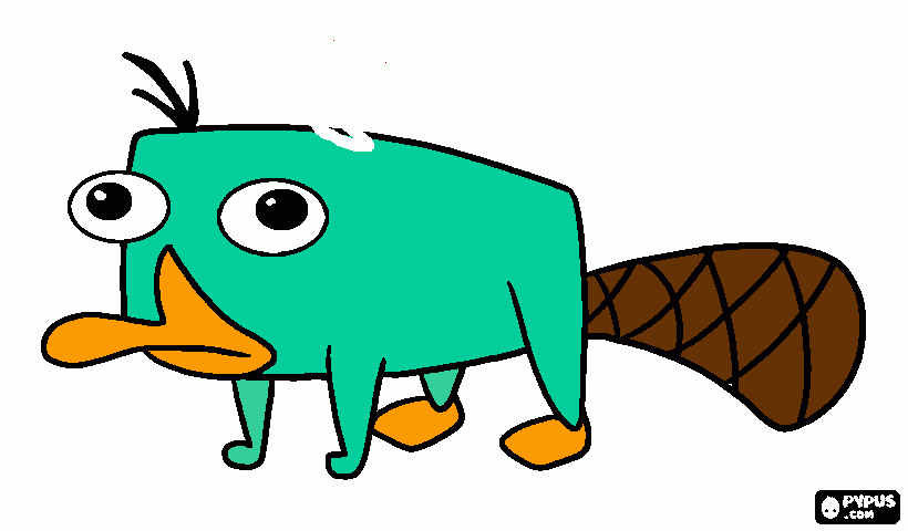 es perry el arritorinco en bebe y demaciadddddooo tiieerrnoo para colorear