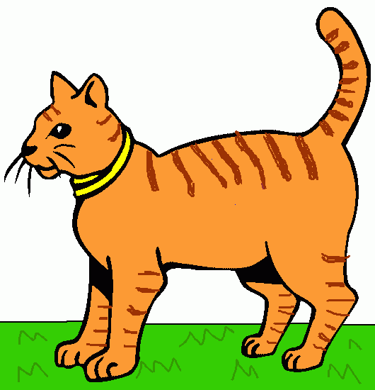 es un gato con rayas cafes y el gato es color cafe mas claro para colorear