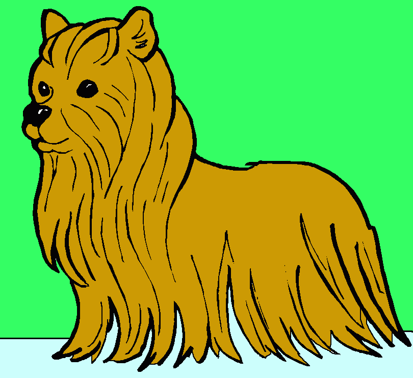 es un perro peludo para colorear