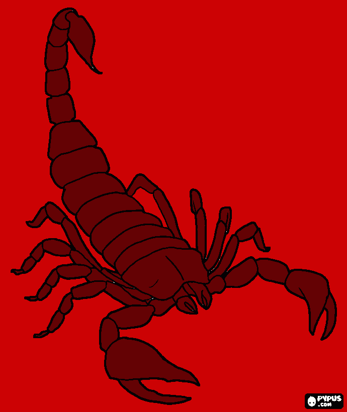 Escorpión para colorear