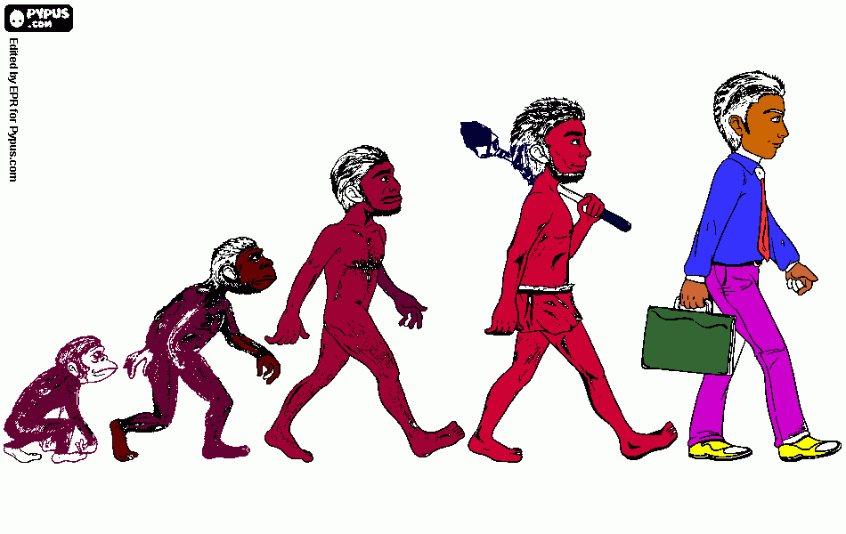 evolucion del ser humano para colorear