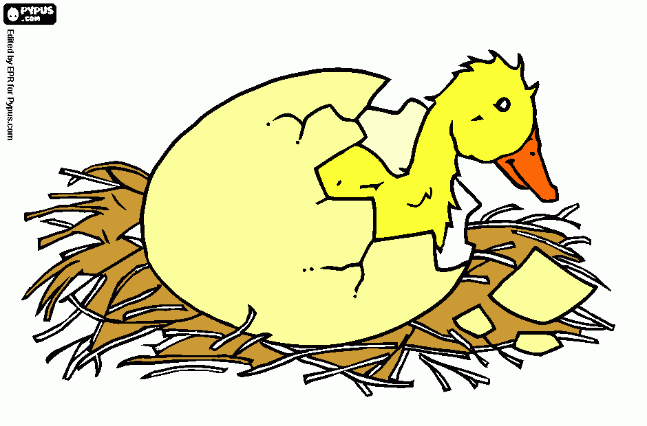 ficha pato saliendo del huevo para colorear