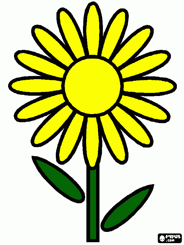 flor amarilla para colorear