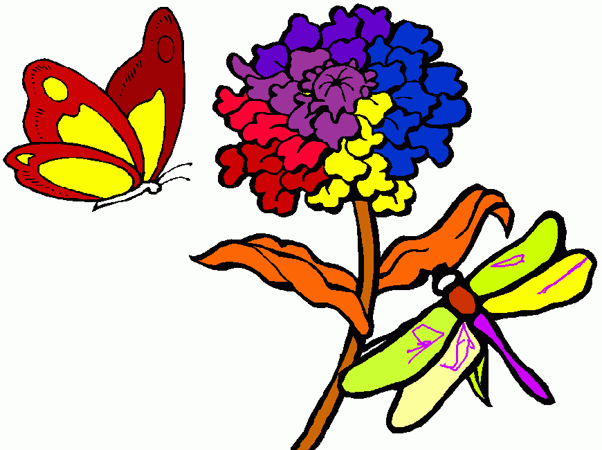flor con mariposa y libelula para colorear