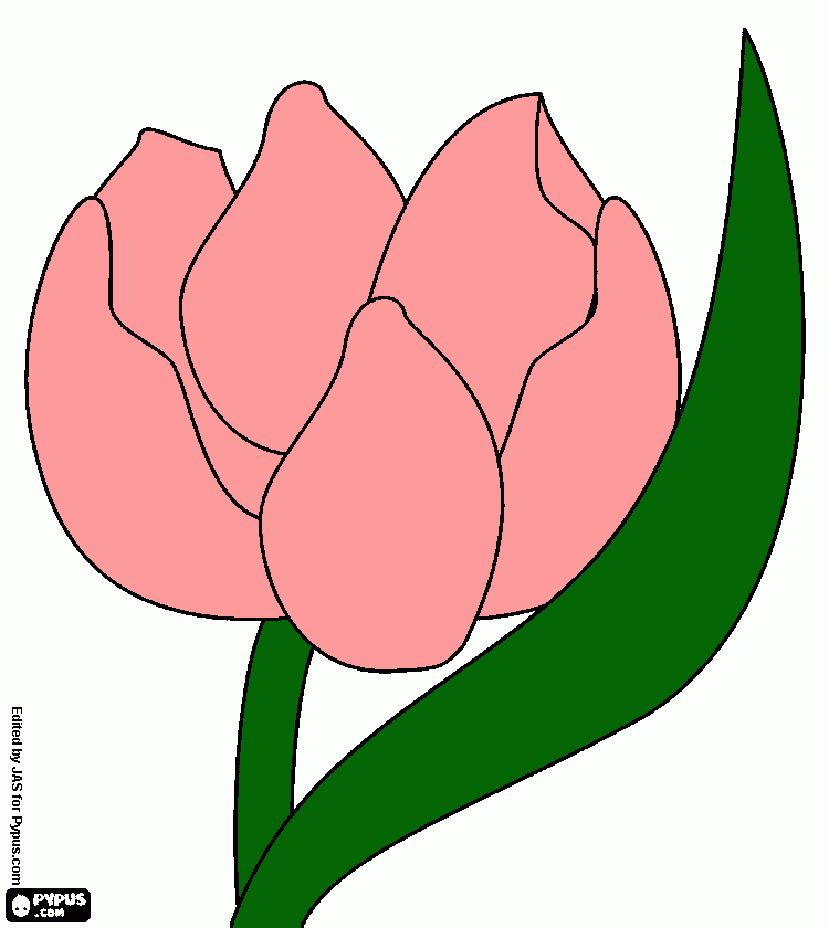 flor de pulgarcita  para colorear