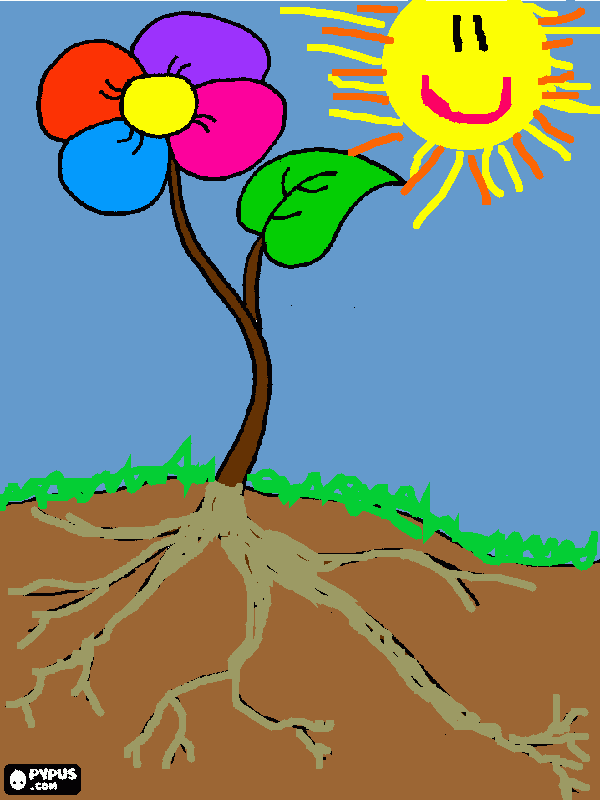 flor ingles para colorear