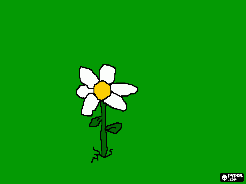 flor, una margarita para colorear