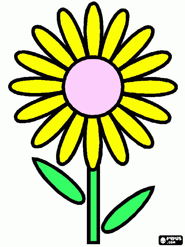 flores dibujadas para colorear