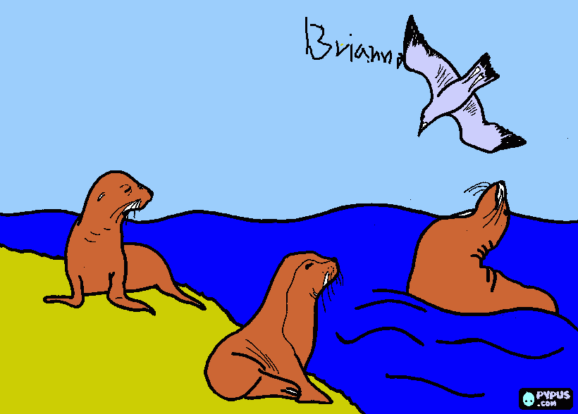 focas para colorear