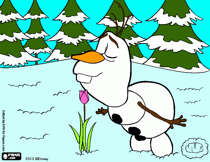 frozen olaf para colorear