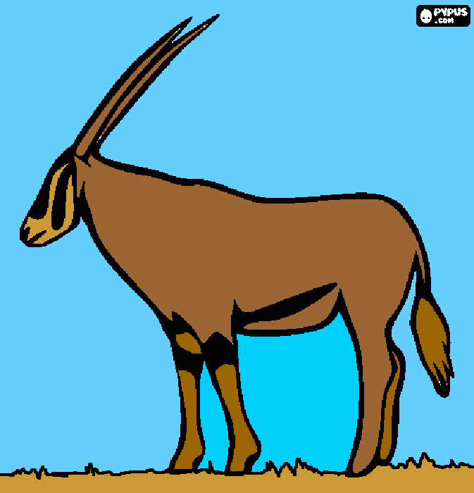 gacela para colorear