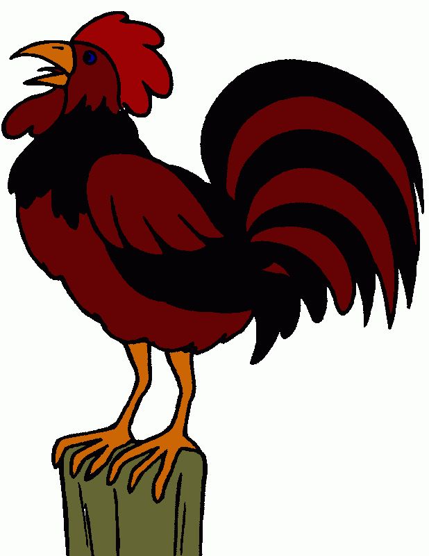 Gallo de Pelea para colorear, Gallo de Pelea para imprimir Gallo de Pelea para colorear, Gallo de Pelea para imprimir