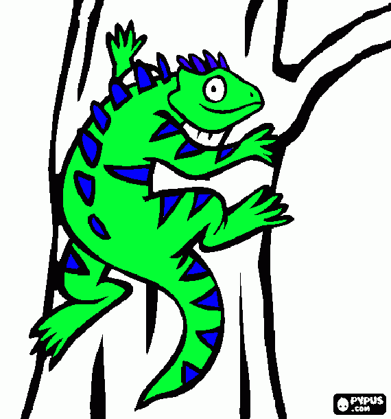 garrobo para colorear