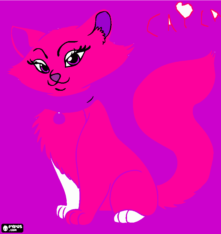 gata caila para colorear