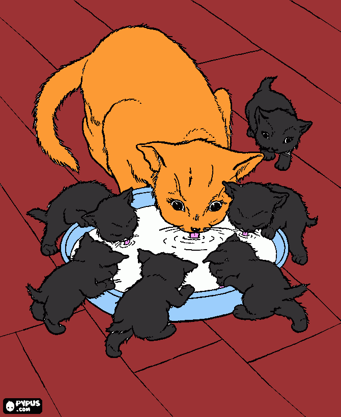 gatitos de Rocio y Tomas para colorear