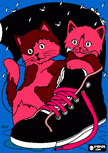 gatitos jugando bajo la lluvia con una zapatilla para colorear