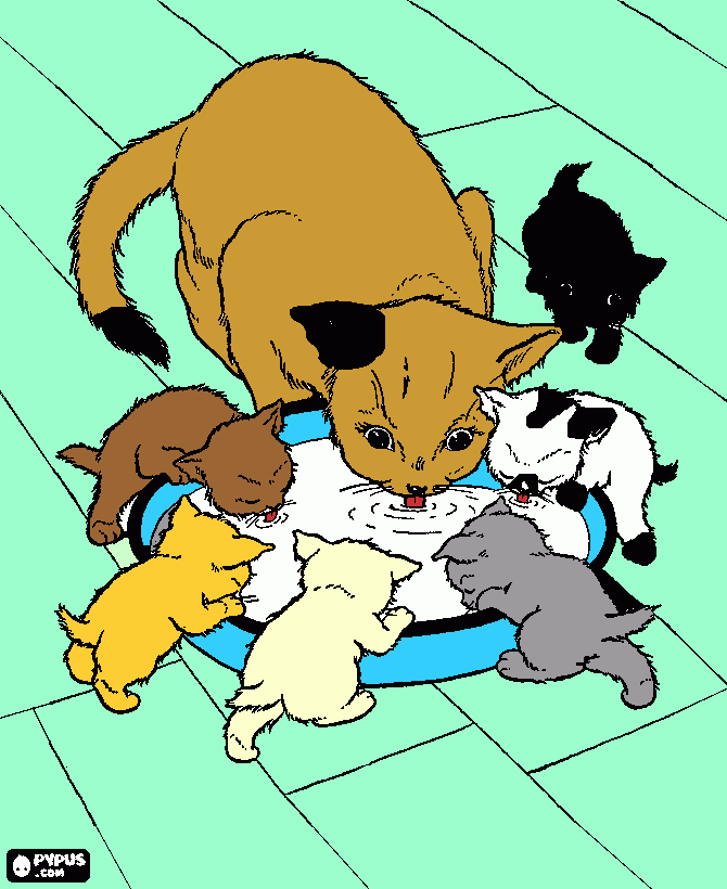 gatitos tomando leche para colorear
