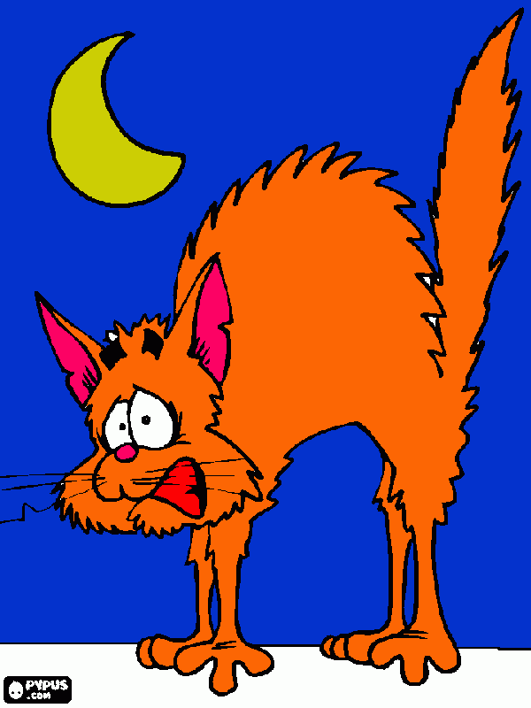 gato asustado con el cuerpo arqueado y los pelos de punta para colorear