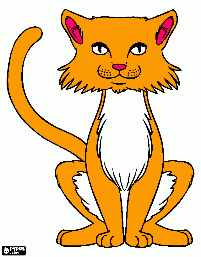 gato con la cola en alto visto de delante para colorear