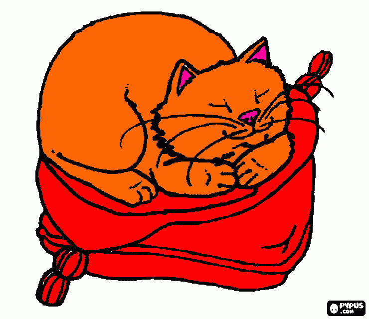 gato domestico durmiendo tranquilamente sobre su cojin. para colorear