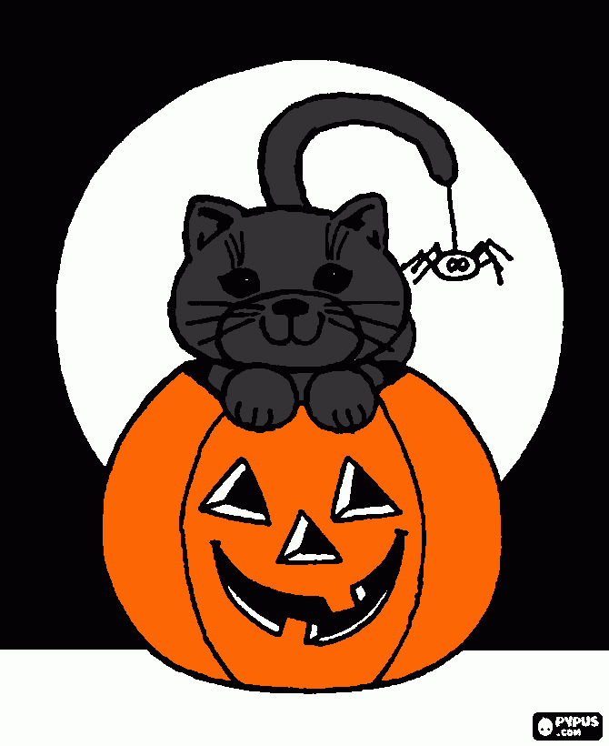 gato luna correcto para colorear