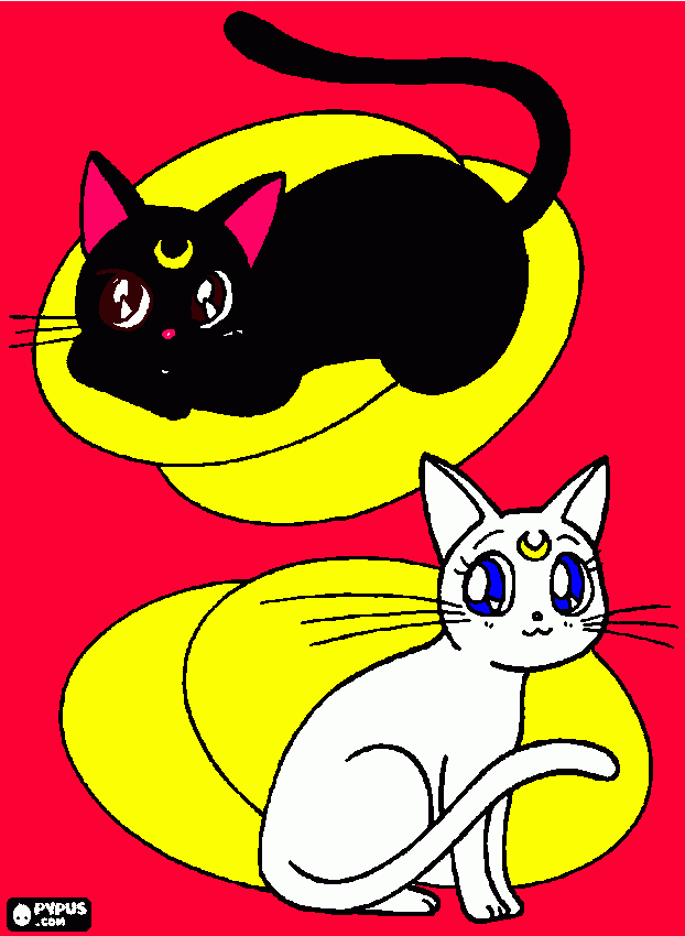 gato luna para colorear