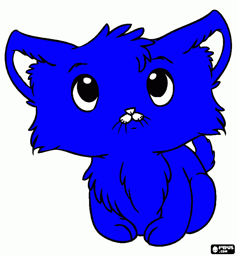 GATO MAURI para colorear