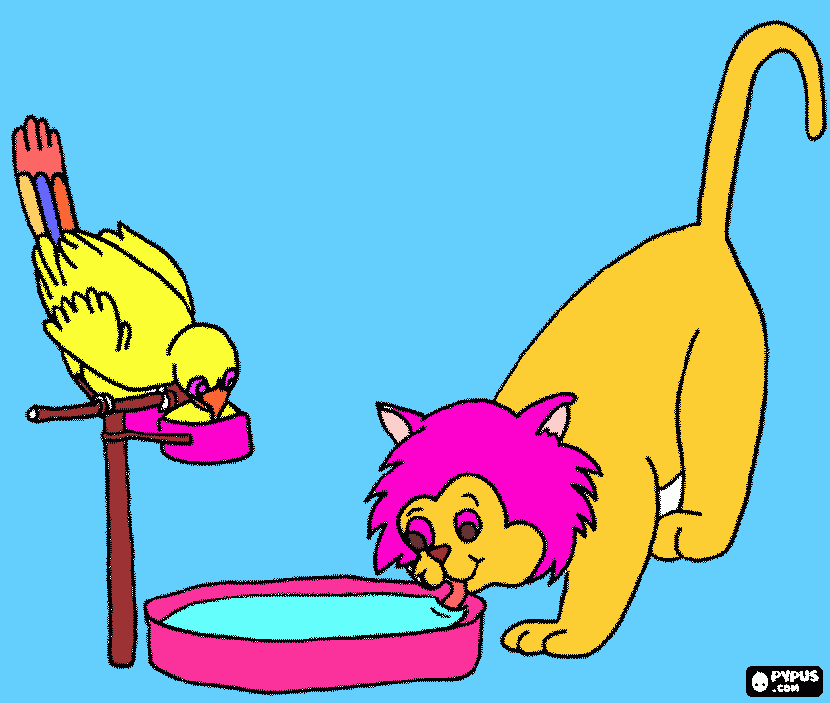 gato y pajaro para colorear