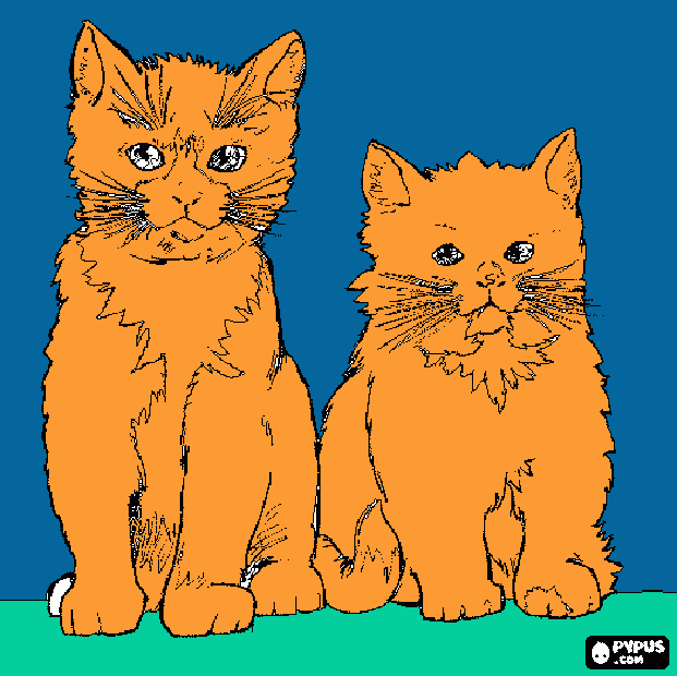 gatos con sus largos bigotes mirando hacia delante para colorear