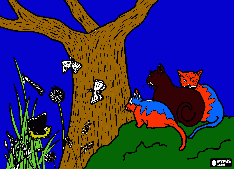 gatos observando los insectosy las mariposas para colorear